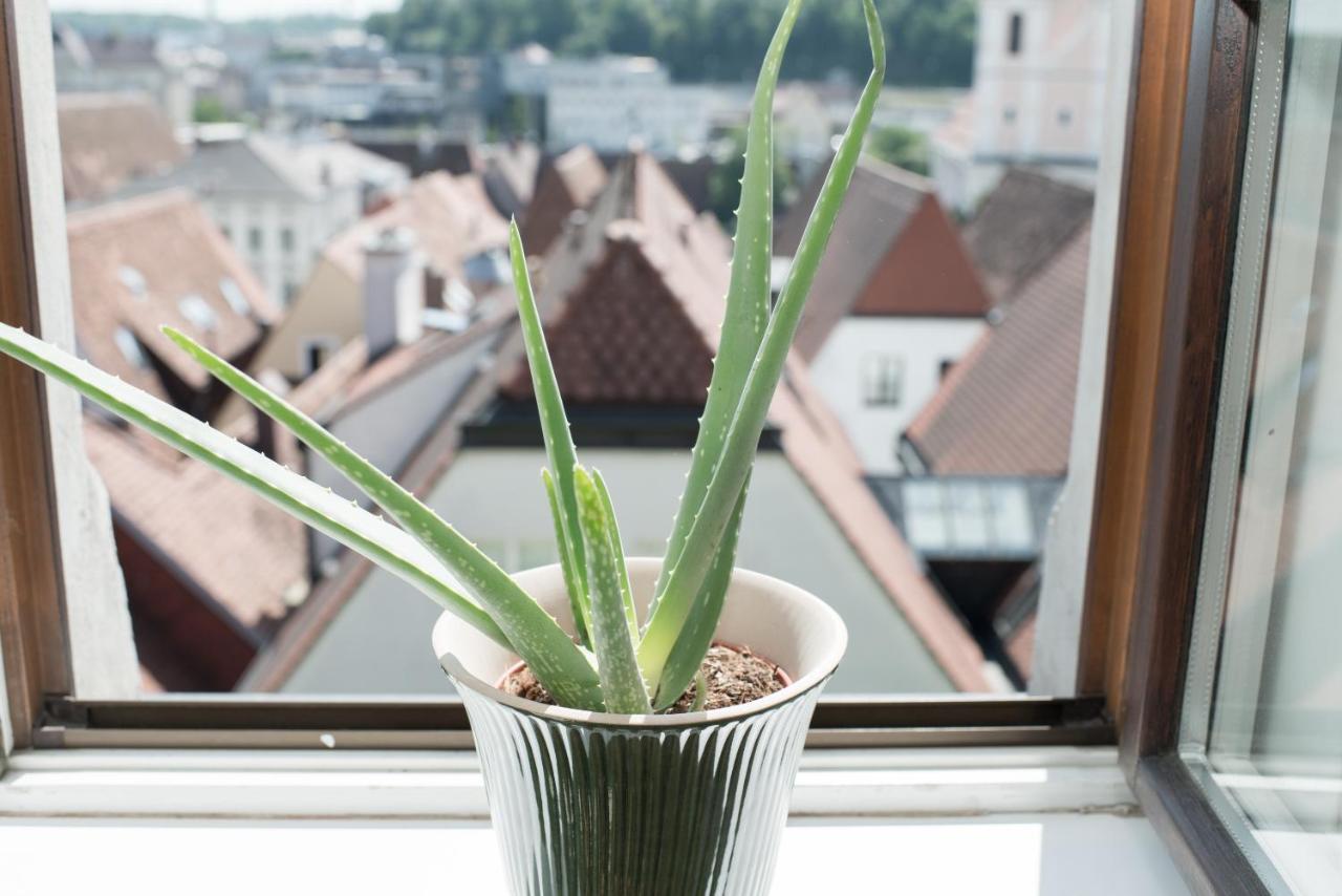 Stadthotel Styria Steyr Eksteriør bilde